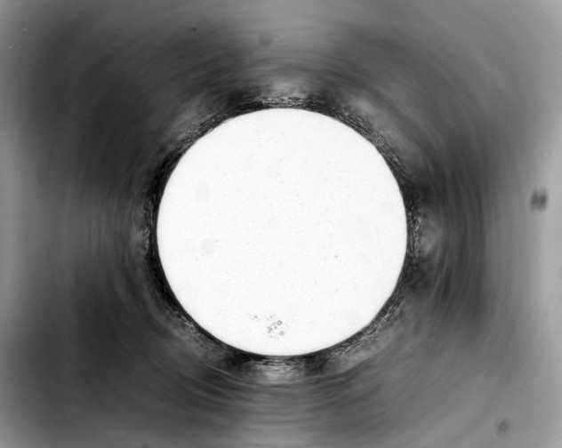 X0000103450370200810101133