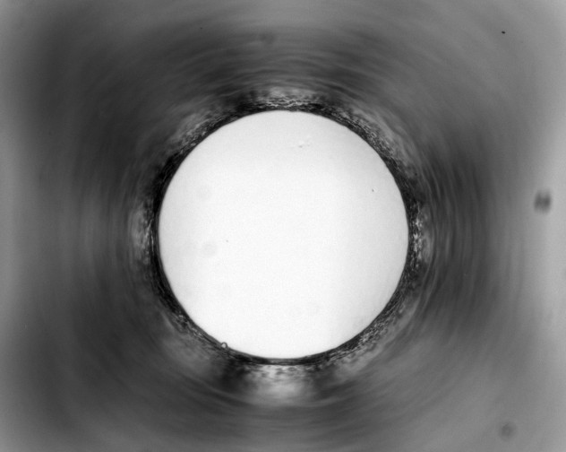 X0000103450371200810101133