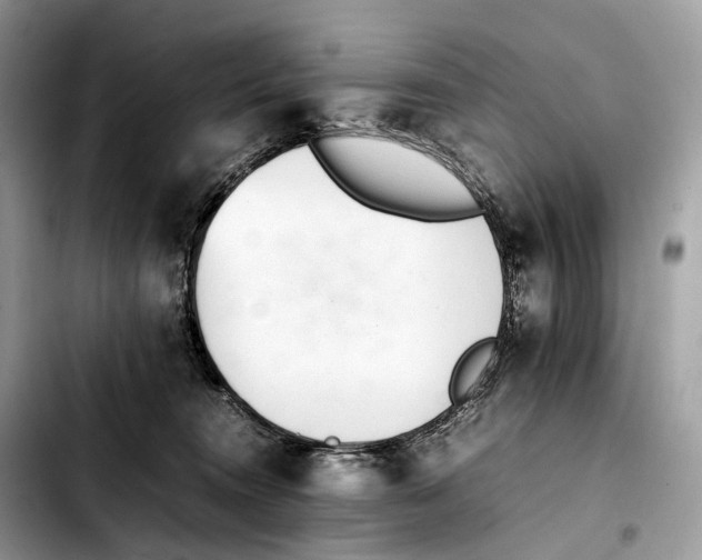 X0000103450372200810101133