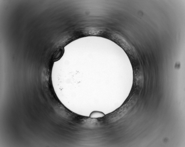 X0000103450374200810101133