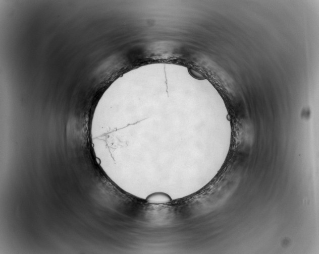 X0000103450376200810101133