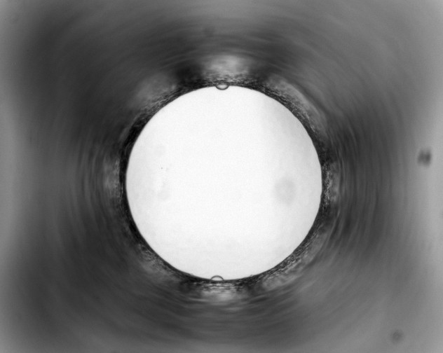 X0000103450377200810101133