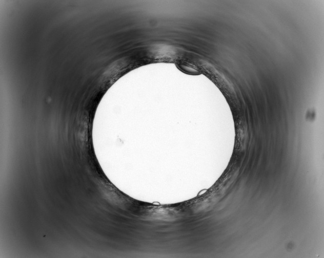 X0000103450379200810101133