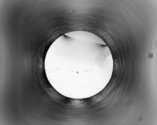 X0000103450380200810101133