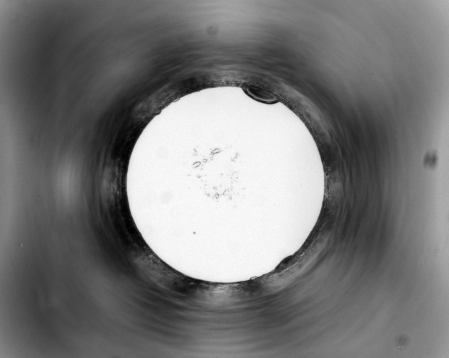 X0000103450382200810101133