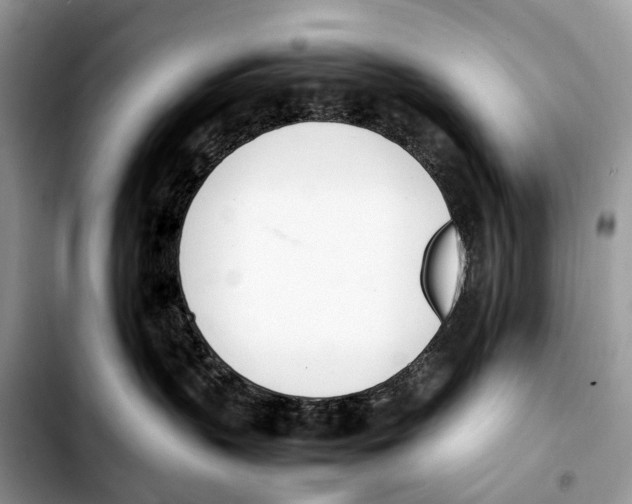 X0000103450383200810101133