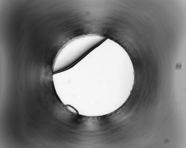 X0000103450384200810101133