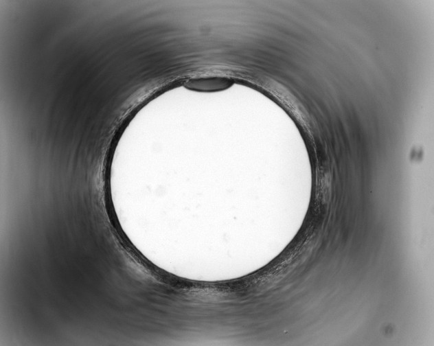 X0000103450389200810101132