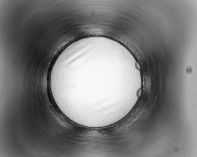 X0000103450390200810101132