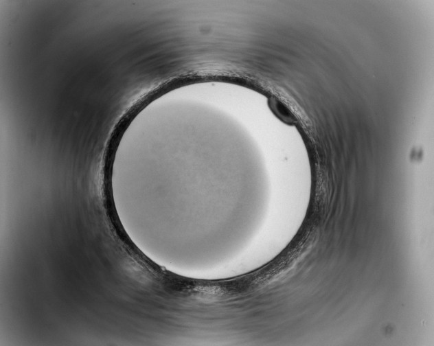 X0000103450391200810101132