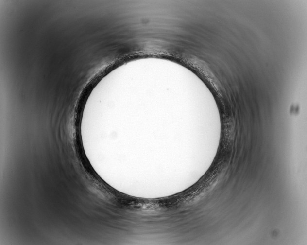 X0000103450395200810101132