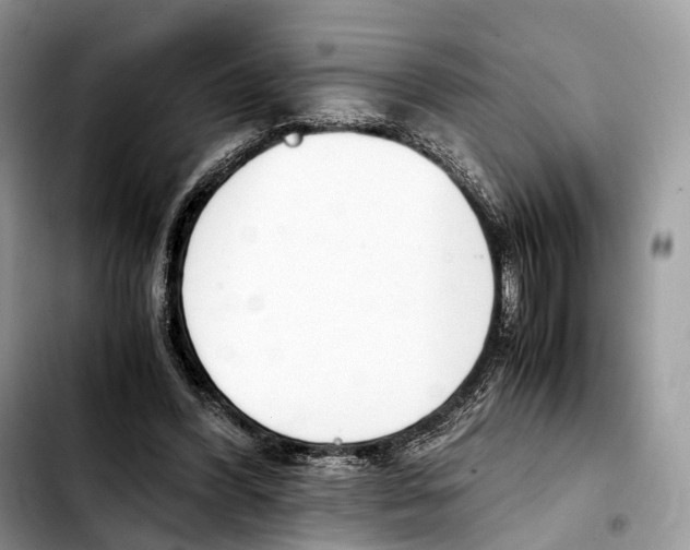 X0000103450396200810101132