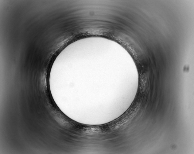 X0000103450398200810101132