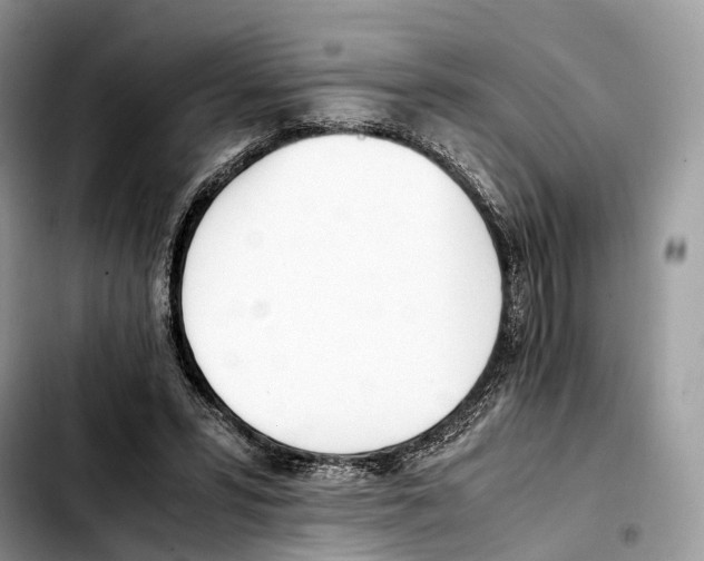 X0000103450399200810101132