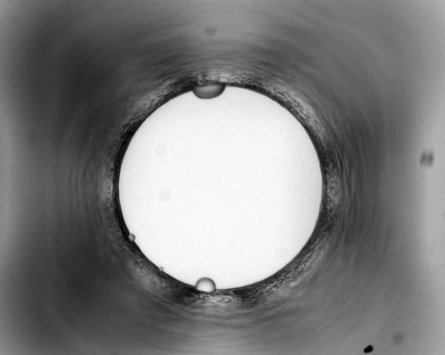 X0000103450401200810101132