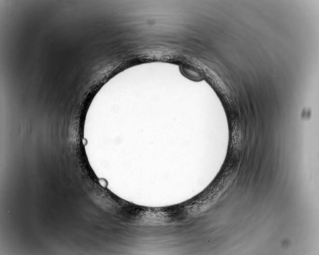 X0000103450403200810101132