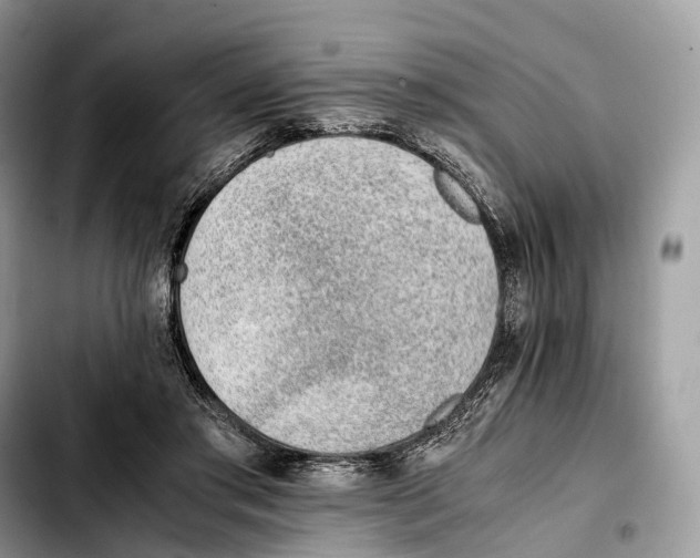 X0000103450405200810101132