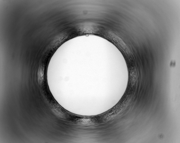 X0000103450406200810101132