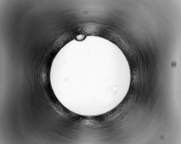 X0000103450408200810101132