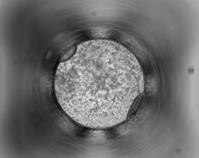 X0000103450409200810101132