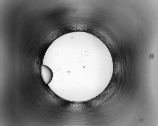 X0000103450414200810101132