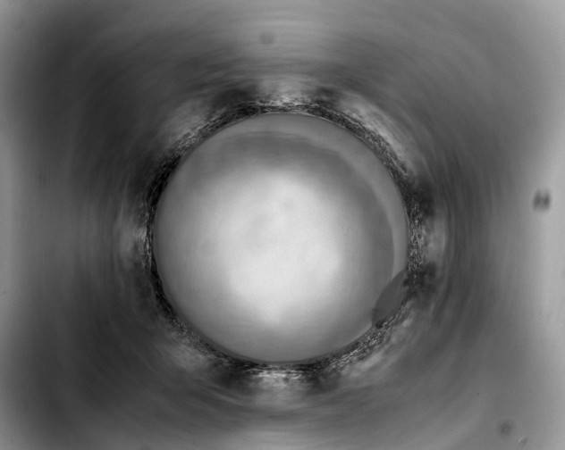 X0000103450415200810101132