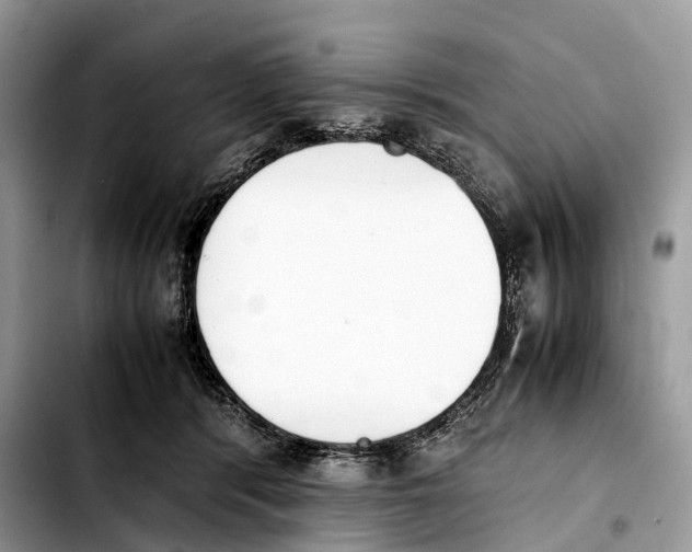 X0000103450416200810101132