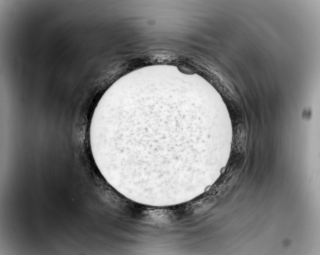 X0000103450417200810101132