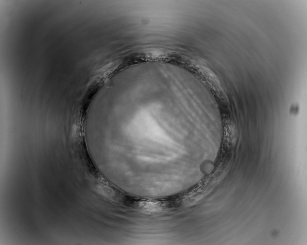 X0000103450419200810101132