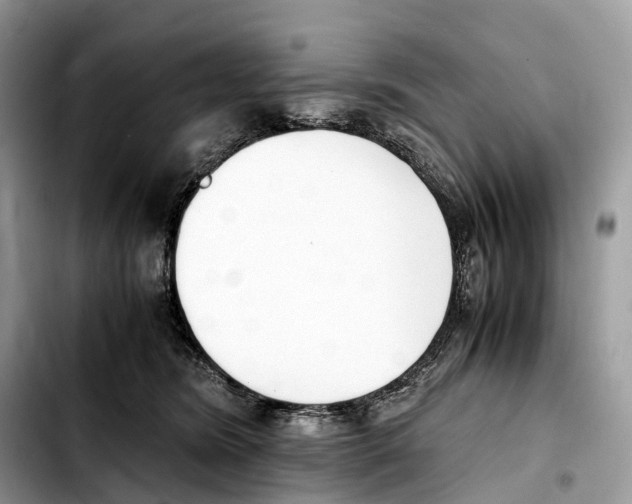 X0000103450420200810101132