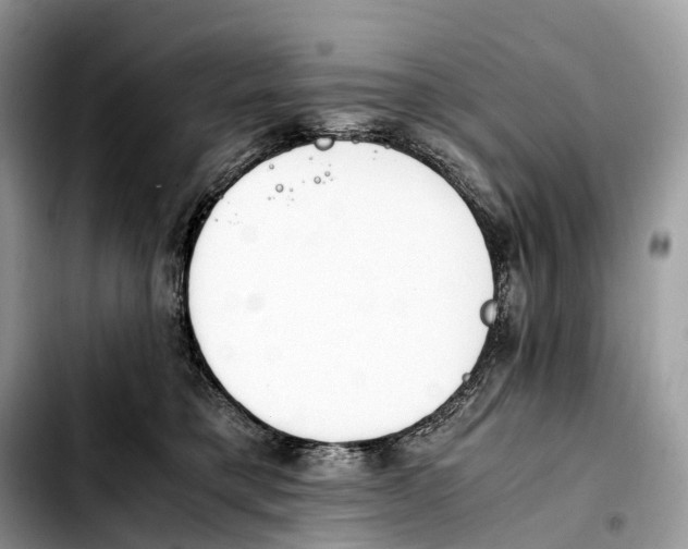 X0000103450421200810101132