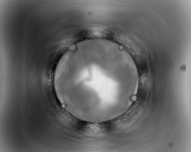 X0000103450423200810101132