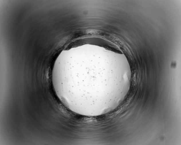 X0000103450424200810101132