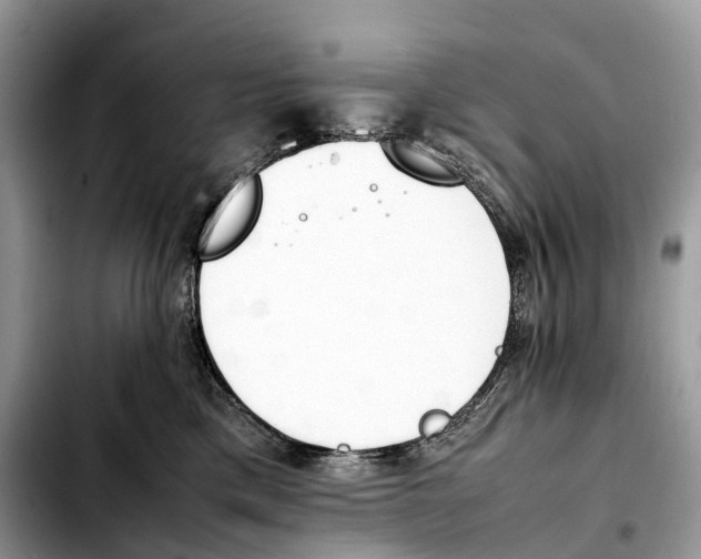 X0000103450425200810101132