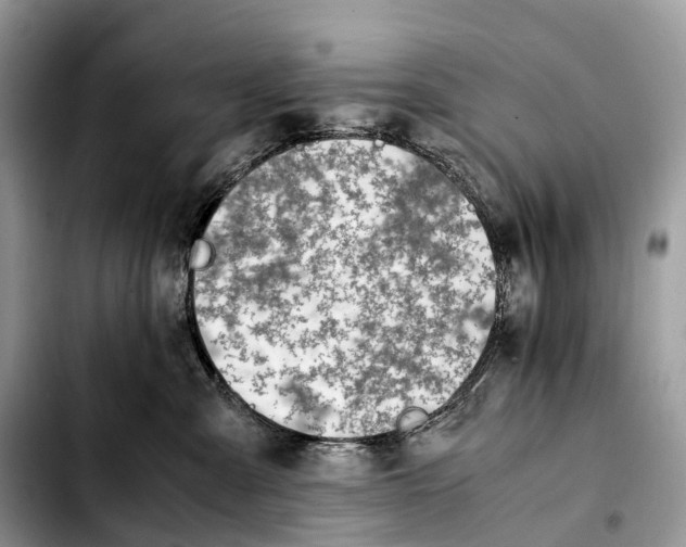 X0000103450427200810101132