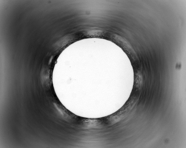 X0000103450428200810101132