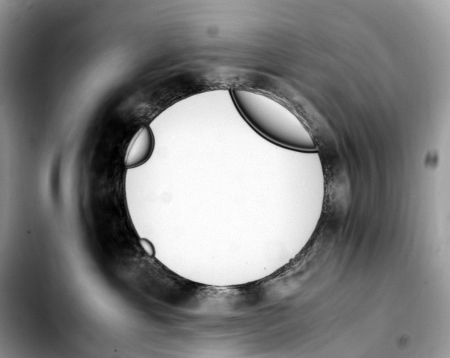 X0000103450429200810101132