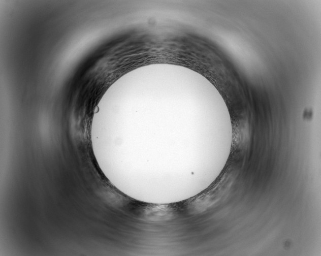 X0000103450431200810101131