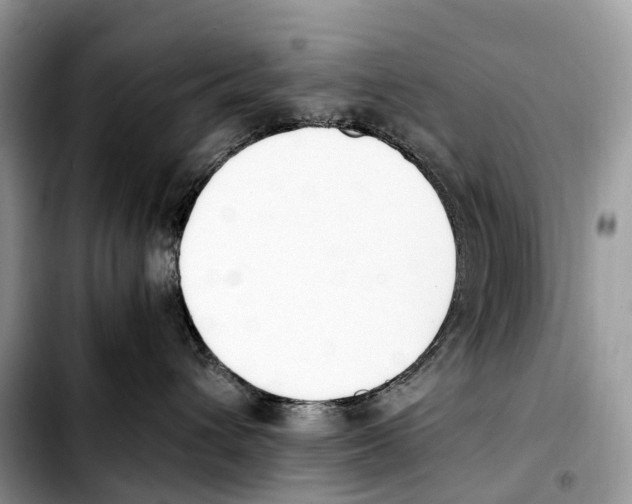 X0000103450432200810101131