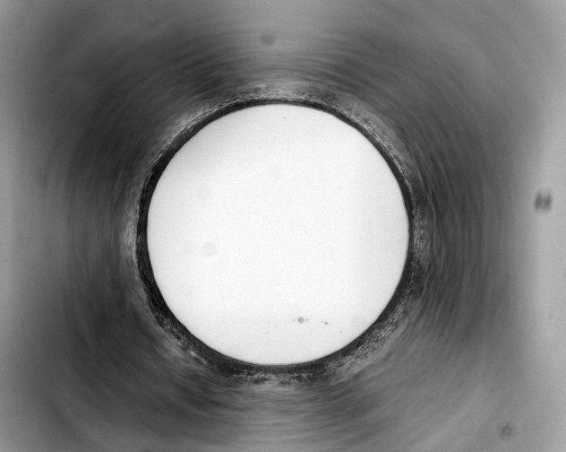 X0000103450434200810101131