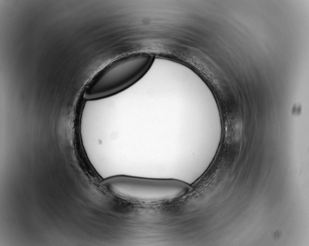 X0000103450436200810101131