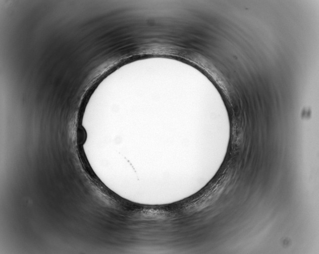 X0000103450437200810101131