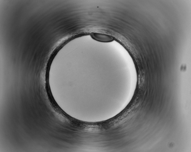 X0000103450438200810101131