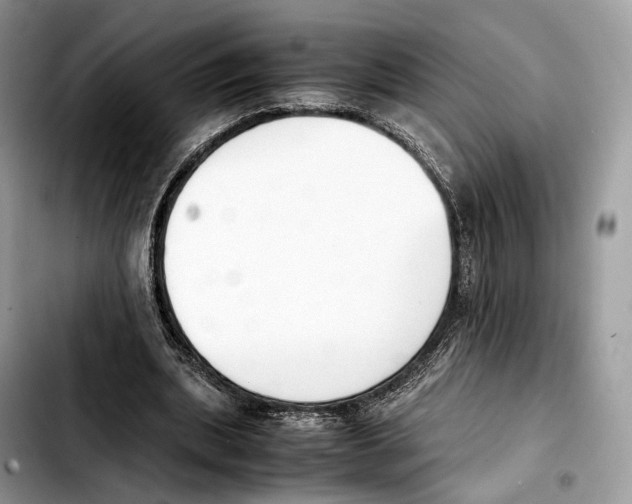 X0000103450439200810101131