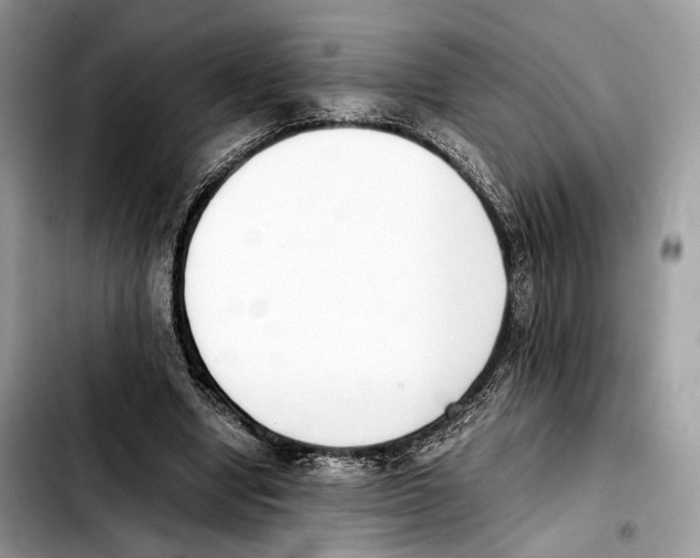 X0000103450442200810101131