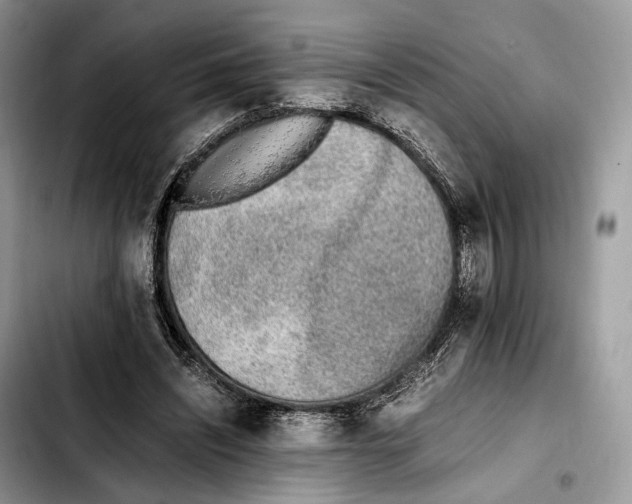 X0000103450444200810101131