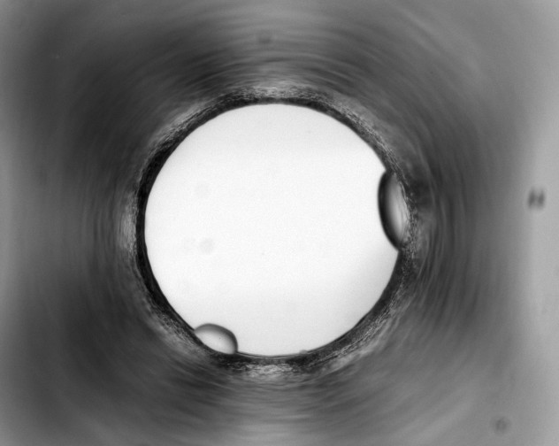 X0000103450446200810101131