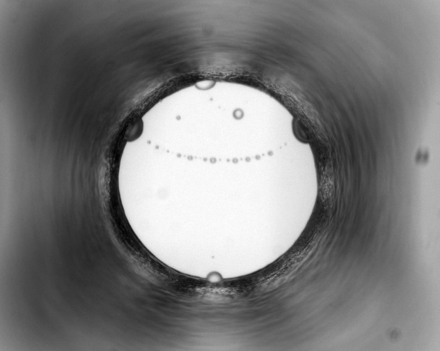 X0000103450448200810101131