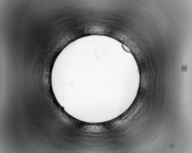 X0000103450449200810101131