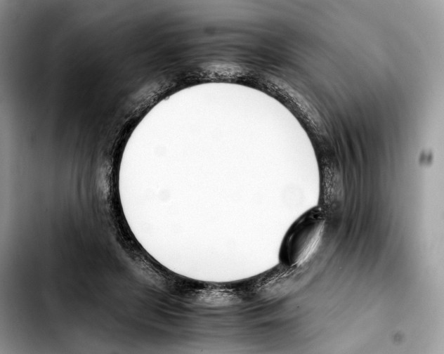 X0000103450451200810101131